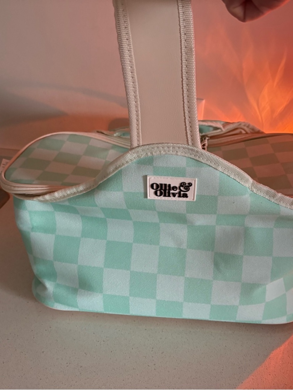 Mint Checkerboard Cooler Bag